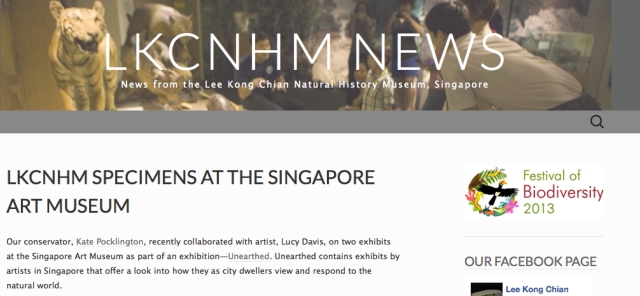 LKCNHM Specimens at the Singapore Art Museum | LKCNHM News